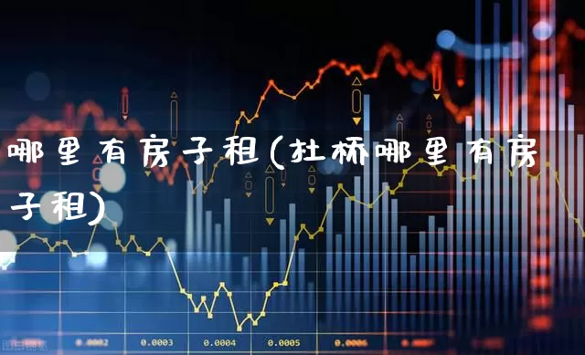 哪里有房子租(杜桥哪里有房子租)_https://www.heiljjianzu.com_上交所_第1张