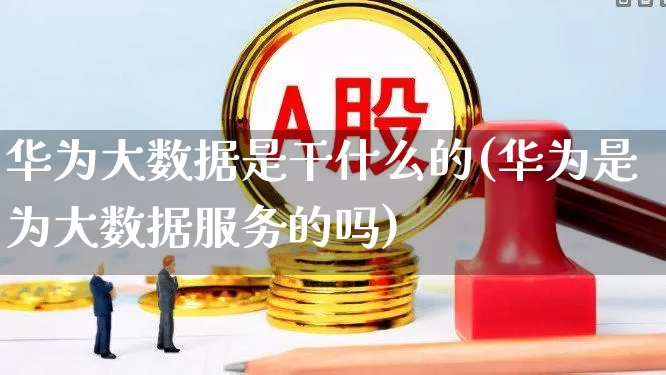 华为大数据是干什么的(华为是为大数据服务的吗)_https://www.heiljjianzu.com_科创板_第1张