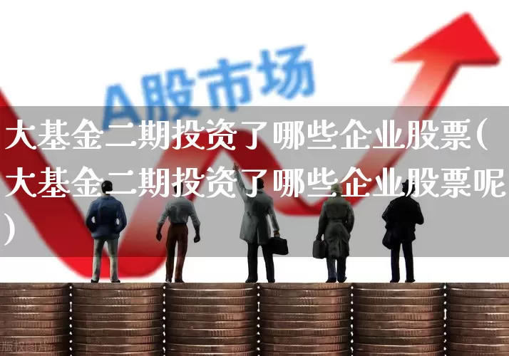 大基金二期投资了哪些企业股票(大基金二期投资了哪些企业股票呢)_https://www.heiljjianzu.com_上交所_第1张