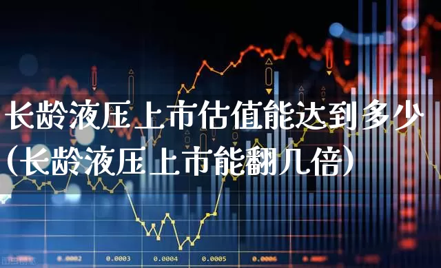 长龄液压上市估值能达到多少(长龄液压上市能翻几倍)_https://www.heiljjianzu.com_北交所_第1张