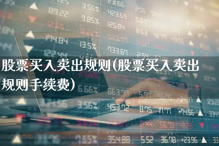 股票买入卖出规则(股票买入卖出规则手续费)_https://www.heiljjianzu.com_上交所_第1张