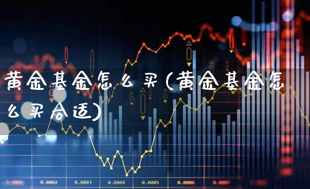 黄金基金怎么买(黄金基金怎么买合适)_https://www.heiljjianzu.com_创业板_第1张
