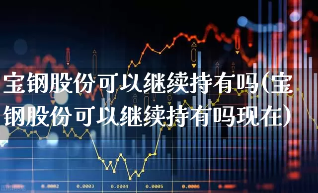 宝钢股份可以继续持有吗(宝钢股份可以继续持有吗现在)_https://www.heiljjianzu.com_北交所_第1张