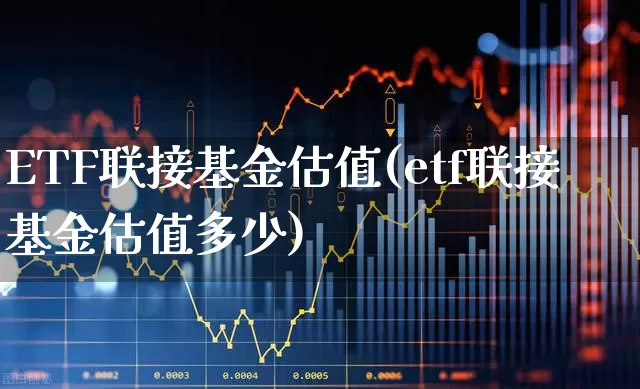 ETF联接基金估值(etf联接基金估值多少)_https://www.heiljjianzu.com_上交所_第1张