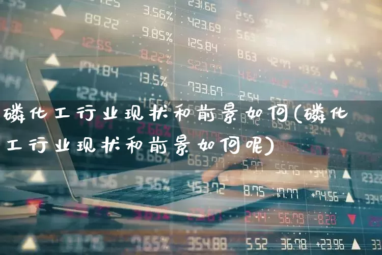 磷化工行业现状和前景如何(磷化工行业现状和前景如何呢)_https://www.heiljjianzu.com_创业板_第1张