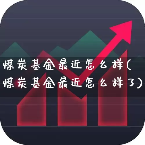 煤炭基金最近怎么样(煤炭基金最近怎么样了)_https://www.heiljjianzu.com_深交所_第1张