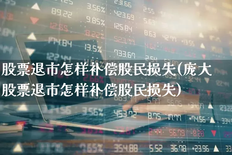 股票退市怎样补偿股民损失(庞大股票退市怎样补偿股民损失)_https://www.heiljjianzu.com_北交所_第1张