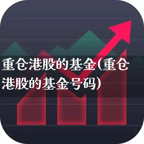 重仓港股的基金(重仓港股的基金号码)_https://www.heiljjianzu.com_深交所_第1张