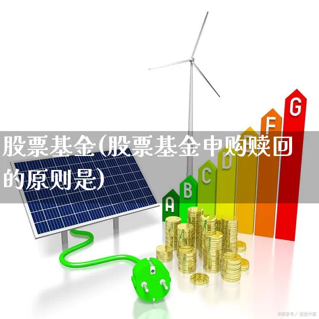 股票基金(股票基金申购赎回的原则是)_https://www.heiljjianzu.com_创业板_第1张