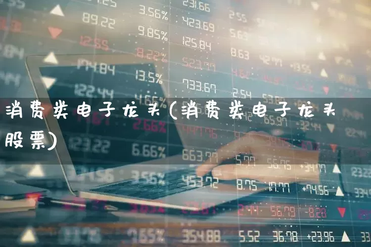 消费类电子龙头(消费类电子龙头股票)_https://www.heiljjianzu.com_上交所_第1张