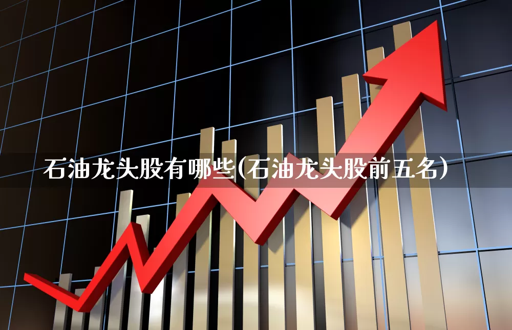 石油龙头股有哪些(石油龙头股前五名)_https://www.heiljjianzu.com_深交所_第1张