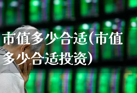 市值多少合适(市值多少合适投资)_https://www.heiljjianzu.com_创业板_第1张