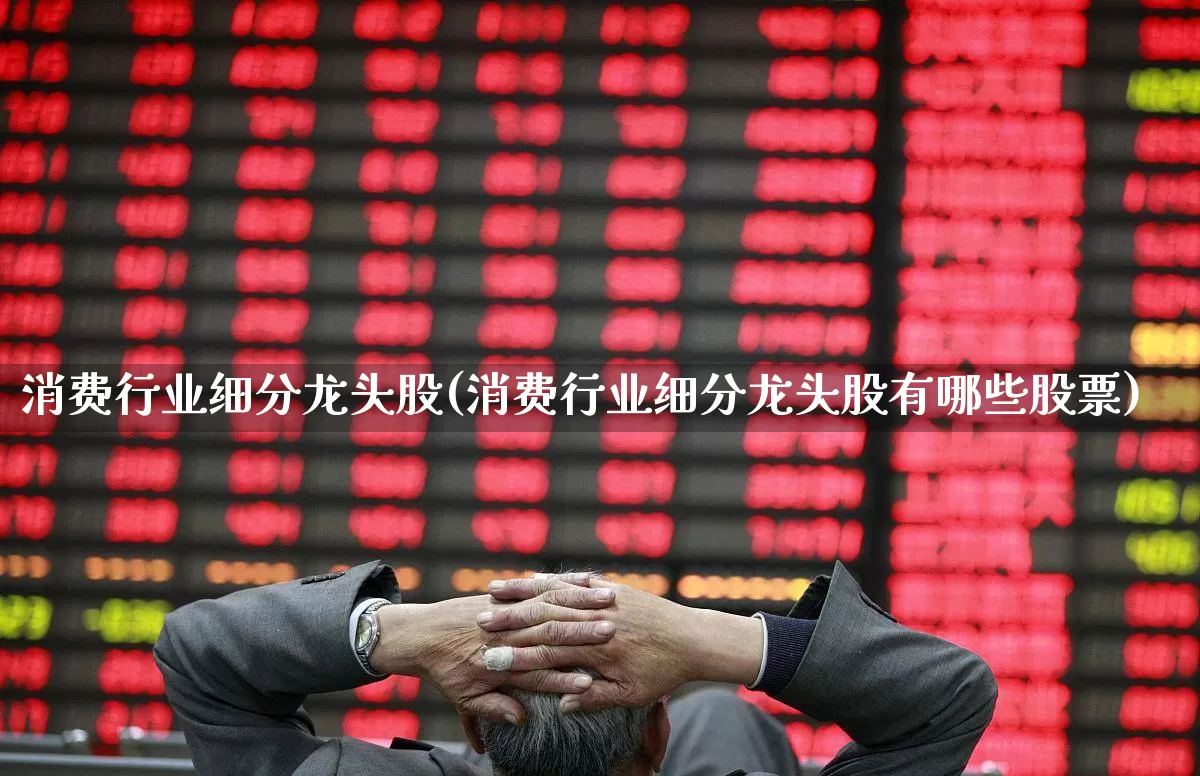 消费行业细分龙头股(消费行业细分龙头股有哪些股票)_https://www.heiljjianzu.com_创业板_第1张