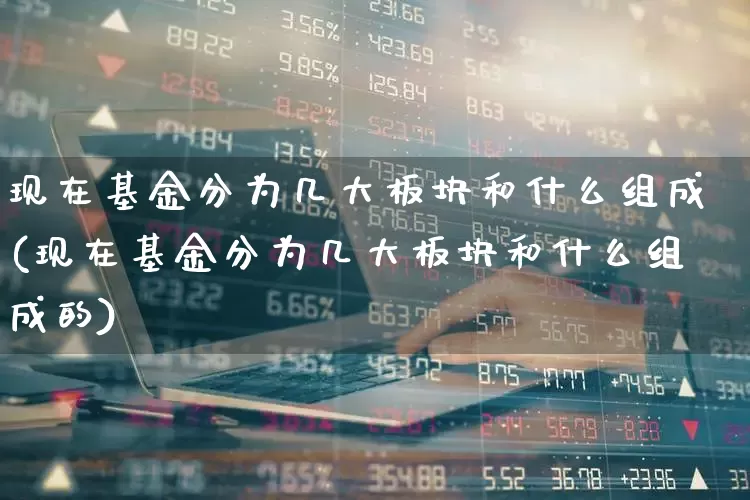 现在基金分为几大板块和什么组成(现在基金分为几大板块和什么组成的)_https://www.heiljjianzu.com_创业板_第1张