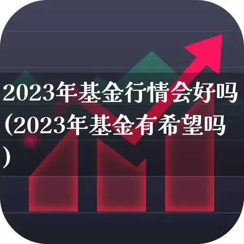 2023年基金行情会好吗(2023年基金有希望吗)_https://www.heiljjianzu.com_北交所_第1张