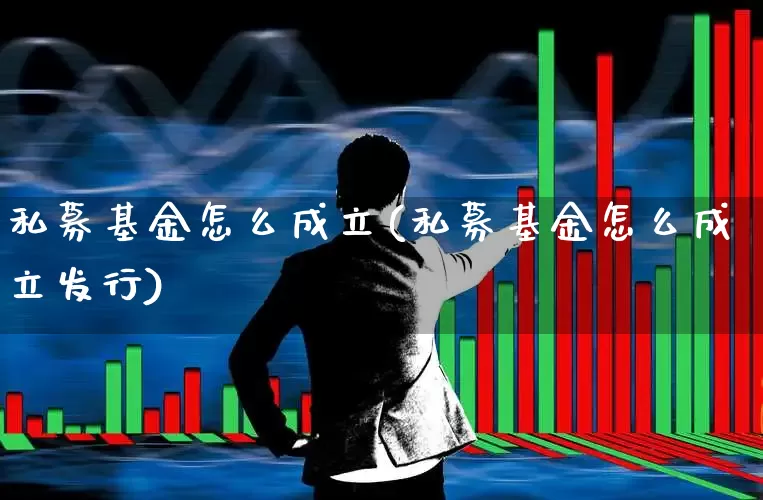 私募基金怎么成立(私募基金怎么成立发行)_https://www.heiljjianzu.com_科创板_第1张