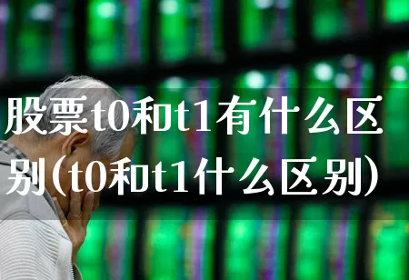 股票t0和t1有什么区别(t0和t1什么区别)_https://www.heiljjianzu.com_创业板_第1张
