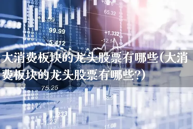 大消费板块的龙头股票有哪些(大消费板块的龙头股票有哪些?)_https://www.heiljjianzu.com_北交所_第1张