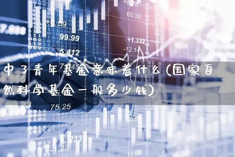中了青年基金意味着什么(国家自然科学基金一般多少钱)_https://www.heiljjianzu.com_深交所_第1张