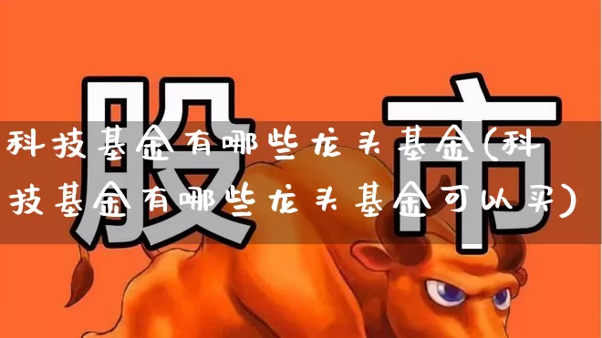 科技基金有哪些龙头基金(科技基金有哪些龙头基金可以买)_https://www.heiljjianzu.com_北交所_第1张