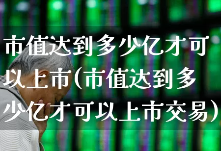 市值达到多少亿才可以上市(市值达到多少亿才可以上市交易)_https://www.heiljjianzu.com_上交所_第1张