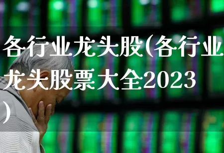 各行业龙头股(各行业龙头股票大全2023)_https://www.heiljjianzu.com_深交所_第1张