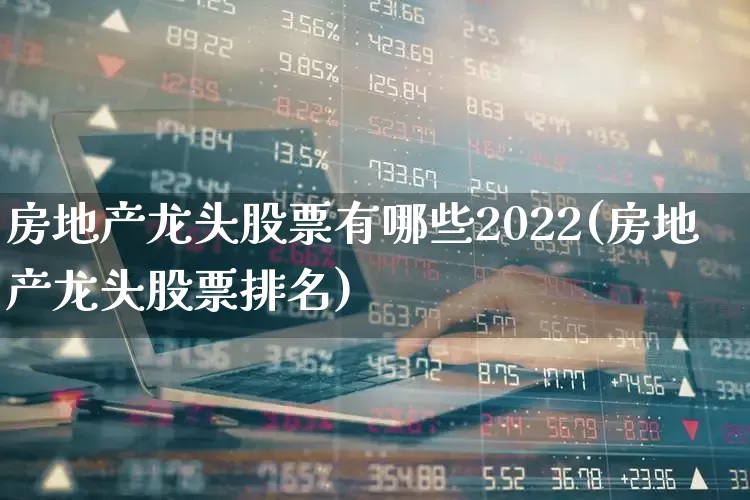 房地产龙头股票有哪些2022(房地产龙头股票排名)_https://www.heiljjianzu.com_北交所_第1张