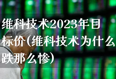 维科技术2023年目标价(维科技术为什么跌那么惨)_https://www.heiljjianzu.com_深交所_第1张