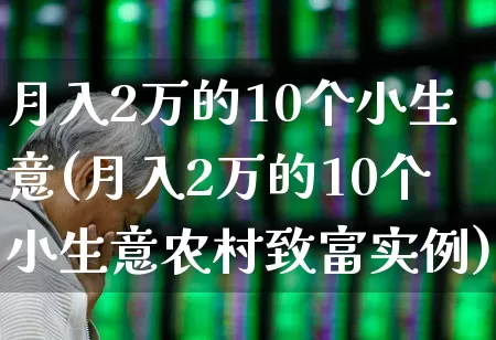 月入2万的10个小生意(月入2万的10个小生意农村致富实例)_https://www.heiljjianzu.com_北交所_第1张