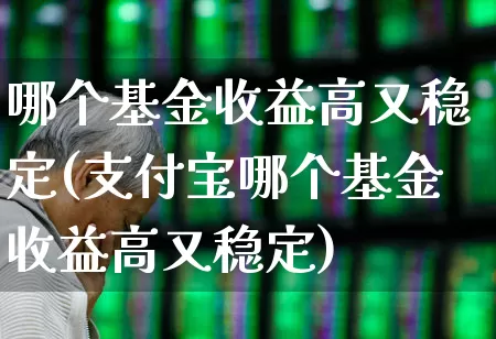 哪个基金收益高又稳定(支付宝哪个基金收益高又稳定)_https://www.heiljjianzu.com_创业板_第1张