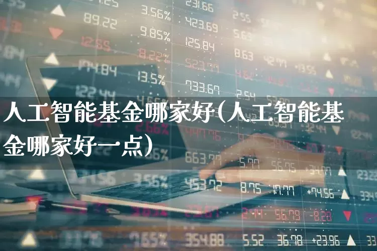 人工智能基金哪家好(人工智能基金哪家好一点)_https://www.heiljjianzu.com_深交所_第1张