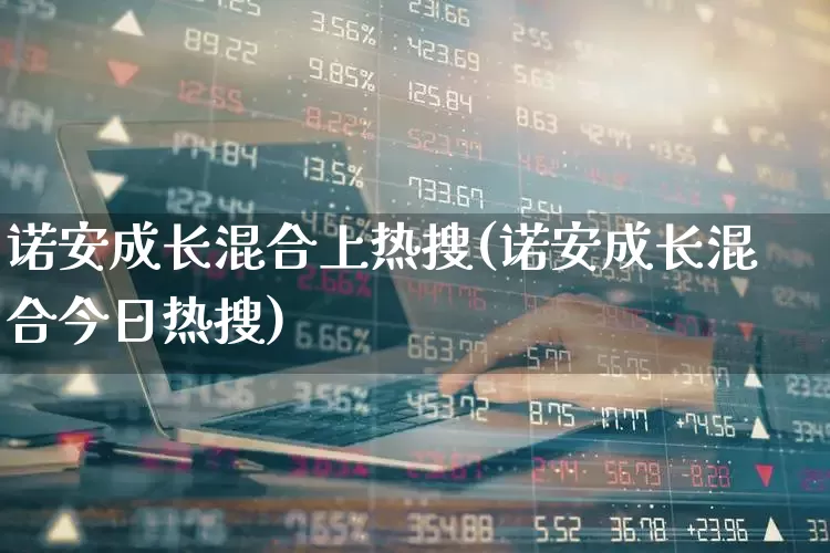 诺安成长混合上热搜(诺安成长混合今日热搜)_https://www.heiljjianzu.com_深交所_第1张