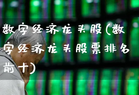 数字经济龙头股(数字经济龙头股票排名前十)_https://www.heiljjianzu.com_深交所_第1张