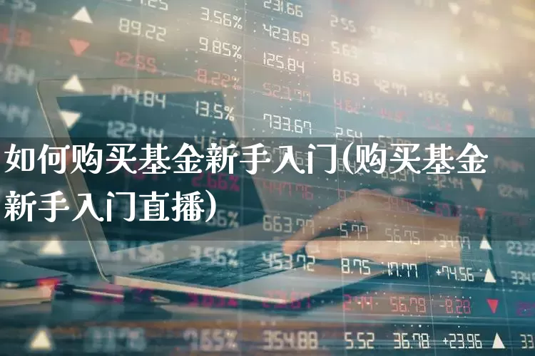 如何购买基金新手入门(购买基金新手入门直播)_https://www.heiljjianzu.com_创业板_第1张