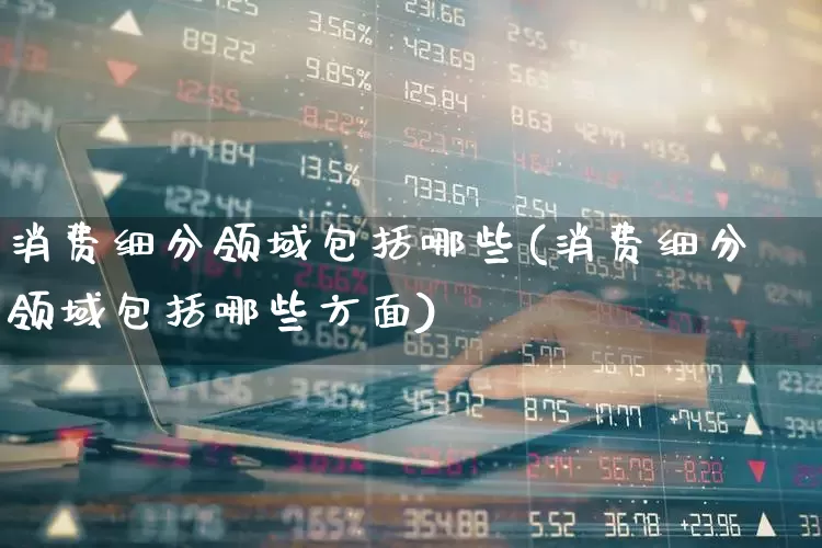 消费细分领域包括哪些(消费细分领域包括哪些方面)_https://www.heiljjianzu.com_深交所_第1张