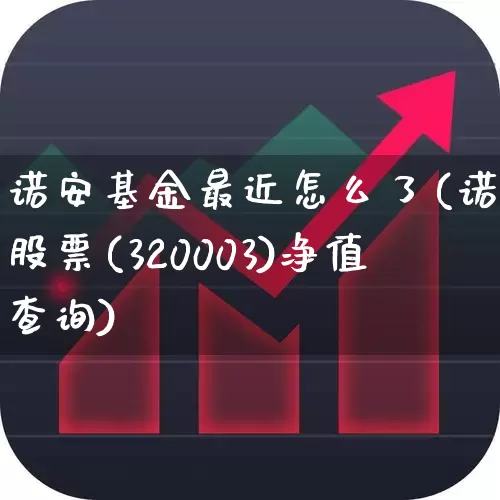 诺安基金最近怎么了(诺安股票(320003)净值查询)_https://www.heiljjianzu.com_科创板_第1张