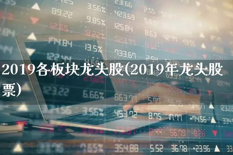 2019各板块龙头股(2019年龙头股票)_https://www.heiljjianzu.com_北交所_第1张