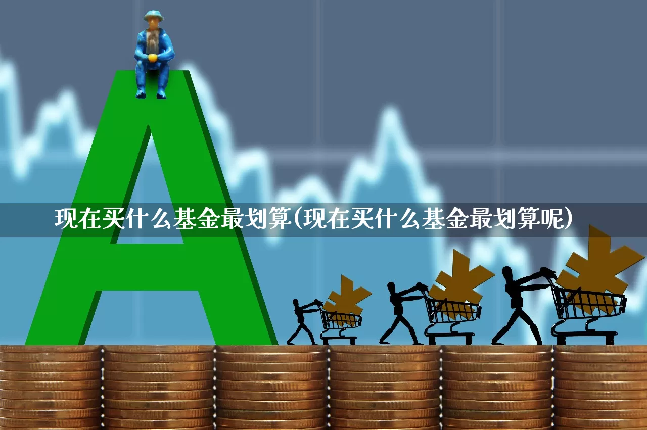 现在买什么基金最划算(现在买什么基金最划算呢)_https://www.heiljjianzu.com_深交所_第1张