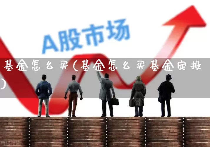 基金怎么买(基金怎么买基金定投)_https://www.heiljjianzu.com_上交所_第1张