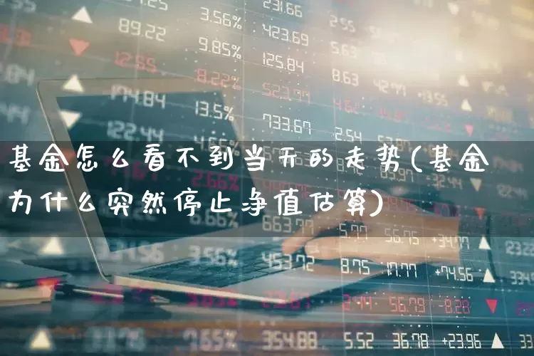 基金怎么看不到当天的走势(基金为什么突然停止净值估算)_https://www.heiljjianzu.com_科创板_第1张