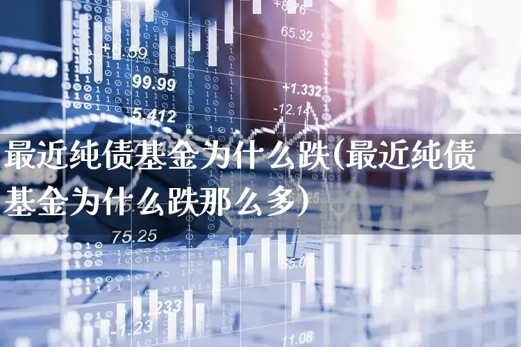 最近纯债基金为什么跌(最近纯债基金为什么跌那么多)_https://www.heiljjianzu.com_深交所_第1张