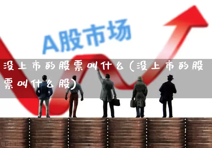 没上市的股票叫什么(没上市的股票叫什么股)_https://www.heiljjianzu.com_创业板_第1张
