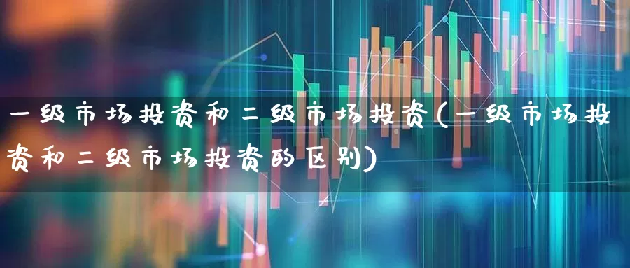 一级市场投资和二级市场投资(一级市场投资和二级市场投资的区别)_https://www.heiljjianzu.com_科创板_第1张