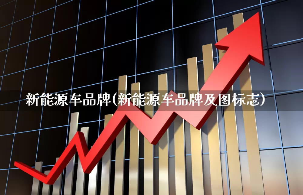 新能源车品牌(新能源车品牌及图标志)_https://www.heiljjianzu.com_上交所_第1张