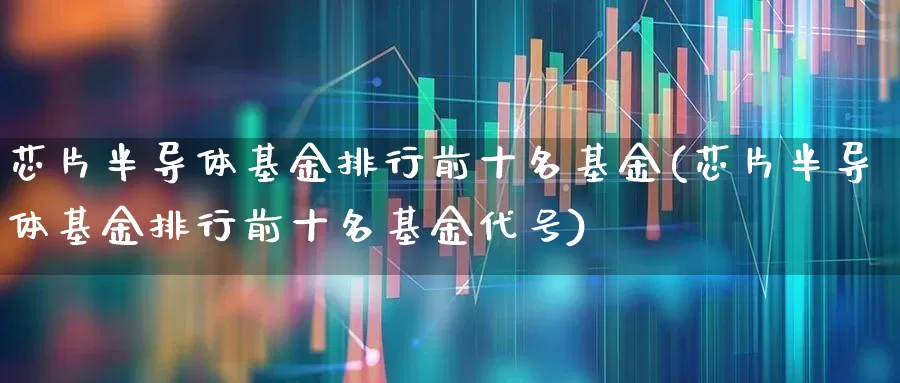 芯片半导体基金排行前十名基金(芯片半导体基金排行前十名基金代号)_https://www.heiljjianzu.com_北交所_第1张