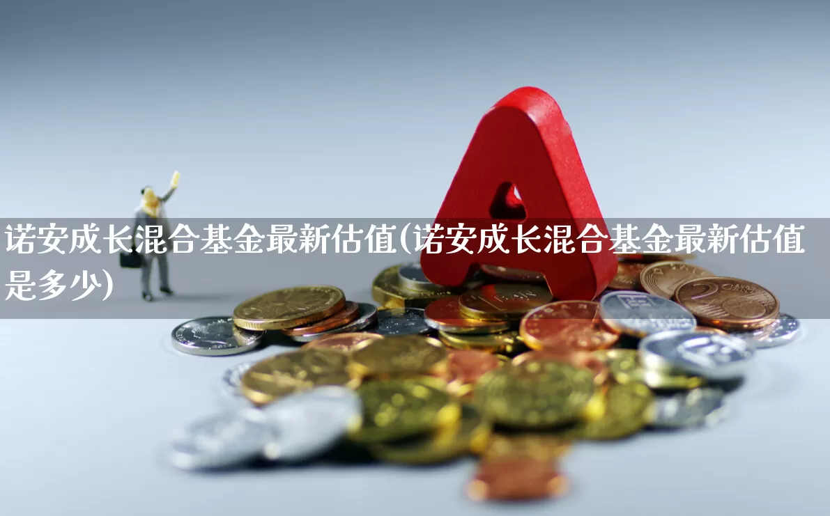 诺安成长混合基金最新估值(诺安成长混合基金最新估值是多少)_https://www.heiljjianzu.com_创业板_第1张