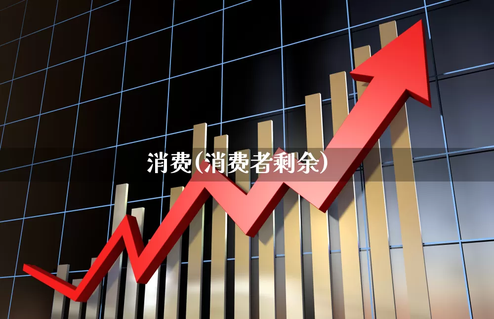消费(消费者剩余)_https://www.heiljjianzu.com_创业板_第1张