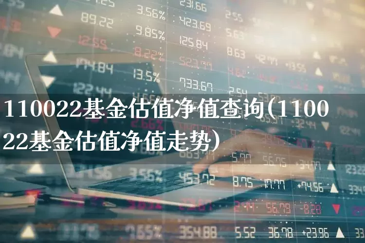 110022基金估值净值查询(110022基金估值净值走势)_https://www.heiljjianzu.com_深交所_第1张