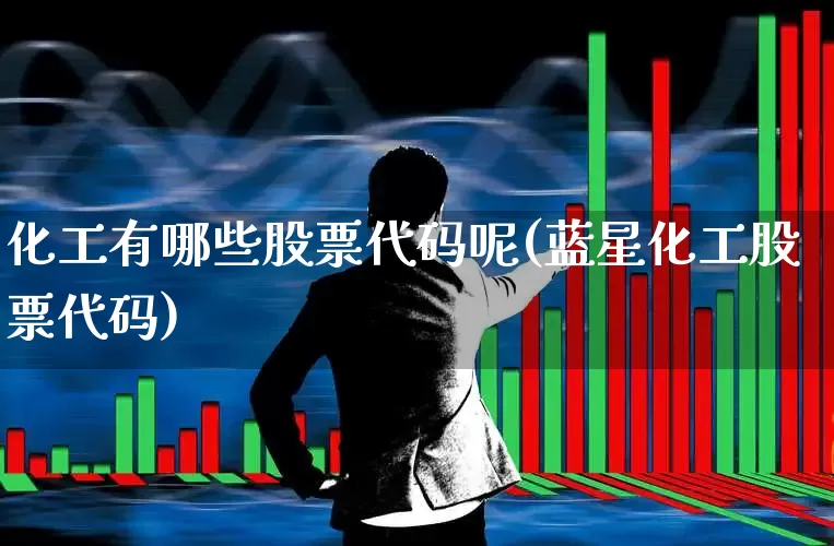化工有哪些股票代码呢(蓝星化工股票代码)_https://www.heiljjianzu.com_上交所_第1张