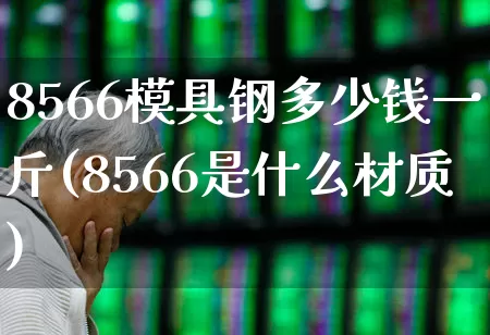 8566模具钢多少钱一斤(8566是什么材质)_https://www.heiljjianzu.com_创业板_第1张